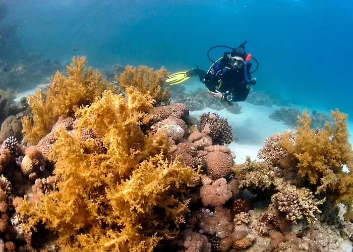 Han/Misafirhane Dive Urge