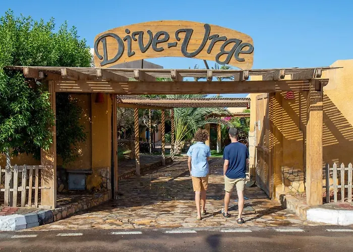 Dive Urge 3*