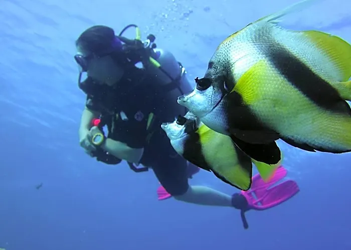 Han/Misafirhane Dive Urge Dahab