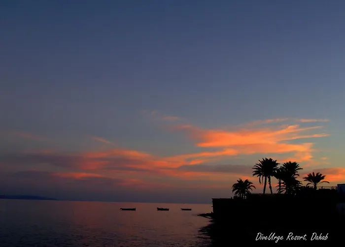 Han/Misafirhane Dive Urge Dahab