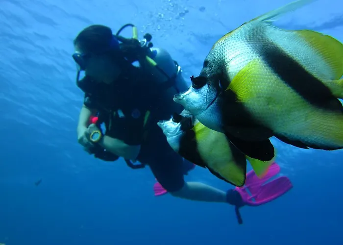 Dive Urge Dahab