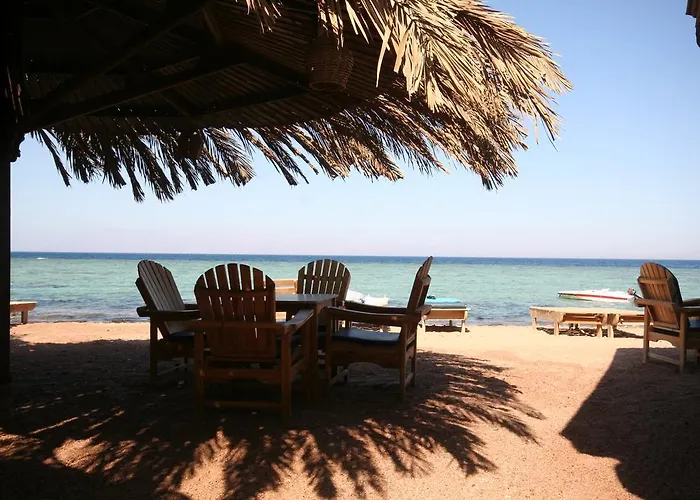 Han/Misafirhane Dive Urge Dahab